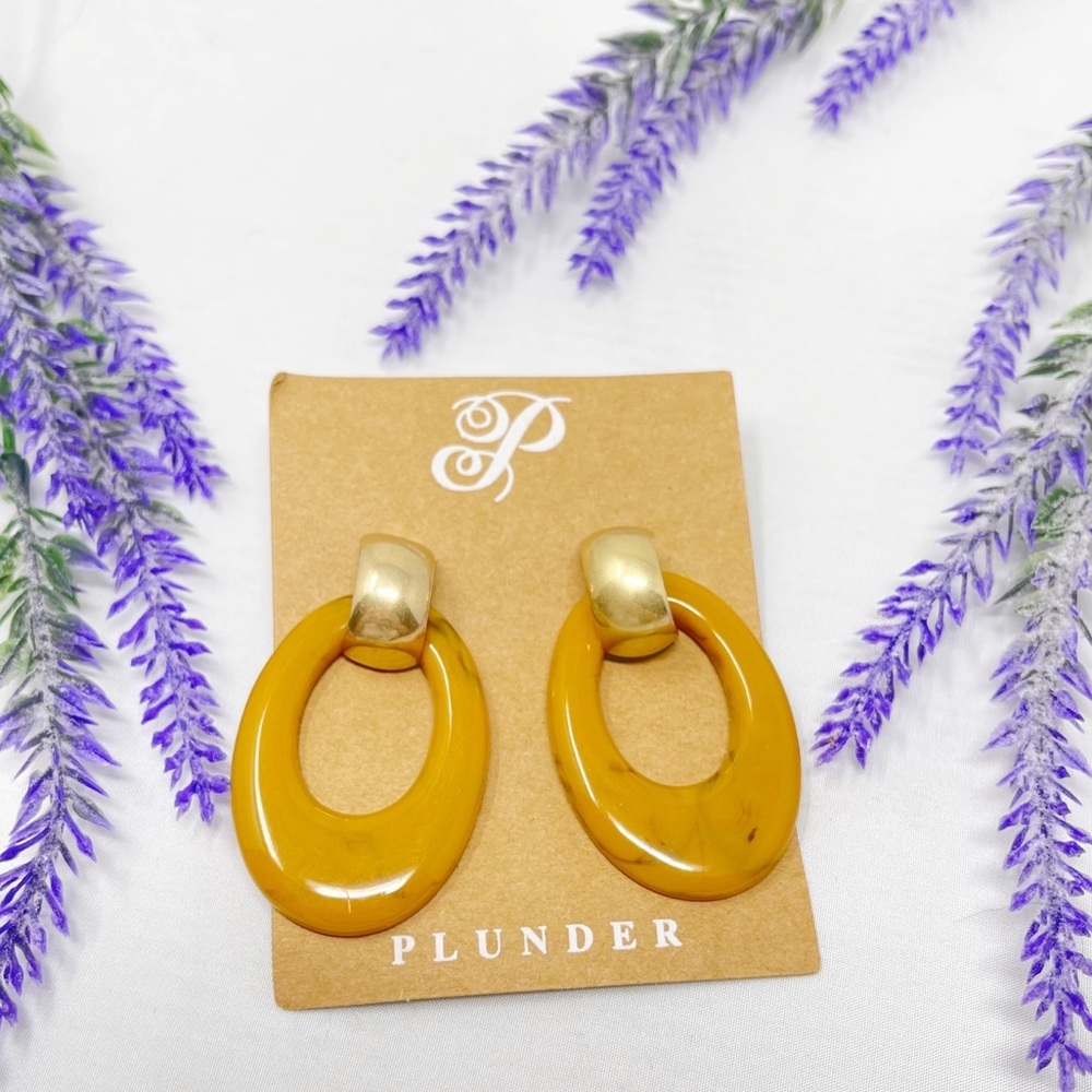 NEW Plunder Design Acrylic Door Knocker Drop Pierced Earrings